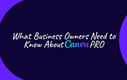 What Business Owners Need to Know About Canva pro