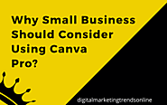 Why Small Business Should Consider Using Canva Pro