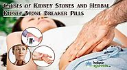 Causes of Kidney Stones and Herbal Kidney Stone Breaker Pills