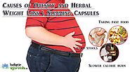 Causes of Obesity and Herbal Weight Loss Slimming Capsules