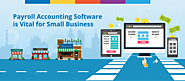 Payroll Accounting Software is Vital for Small Business