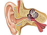 Relieve Ear Discomfort with Expert Care at Veekay Clinic, Gurgaon