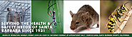 Pest Control Company in Santa Barbara, California