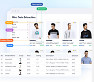 Web Data Extraction Services