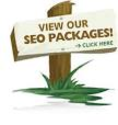 SEO India