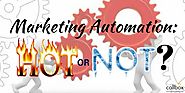 Marketing Automation: Hot or Not?