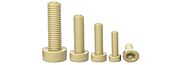 Peek Allen Cap Screw DIN 912 Manufacturer in India - Caliber Enterprise