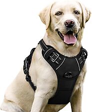 Dog Harness