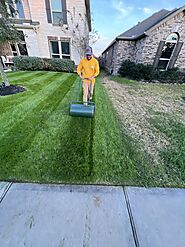 Lawn Stripes