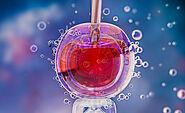 How Long Can an Embryo Be Frozen? Exploring Storage Duration and Success Rates