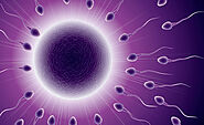 How Long Can Sperm Be Frozen? Understanding the Duration and Viability