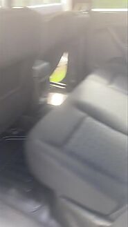 Car Detailing Logan | Australia's Detailing Group