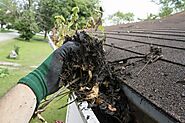 Professional gutter cleaning