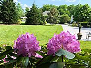 Vibrant spring landscaping