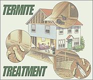 Best Termite Treatment in Brisbane – RA Dibbs