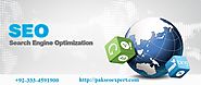 Importance of SEO Services for Any Website Owner - Pak SEO Expert
