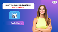 H1B Visa Consultants In Hyderabad: Easy Visa Guide & Consultation