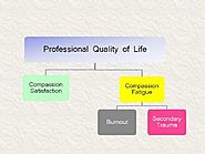 Professional Quality of Life Elements Theory and Measurement