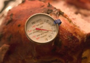Meat Thermometer Reviews and Ratings