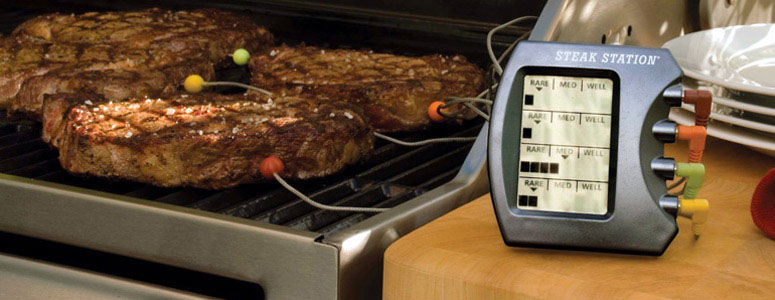 Headline for Top-Rated Meat Thermometers - Best Digital Meat Thermometers