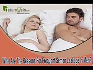 What Are The Reasons For Frequent Semen Leakage In Men?