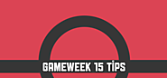 Gameweek 15 Top Tips - Fantasy Premier League Tips
