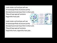 Organelles Song