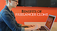 Freelancer Clone: Benefits of freelancer clone