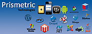 Prismetric- Top Mobile App Development Company