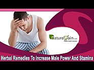 Herbal Remedies To Increase Male Power And Stamina In An Effective Manner