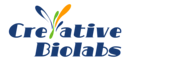 Creative Biolabs provides humanization service