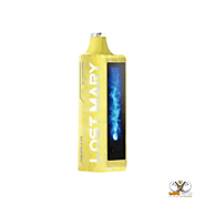 Pineapple Ice – Lost Mary – MO20000 Puffs