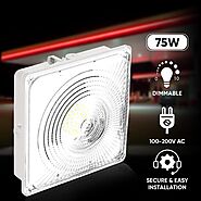 LED Canopy Light with 5700K, 9750LM, IP65, Surface/Pendant, White