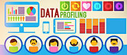 Why Malaysian B2B Companies need Data Profiling