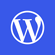 What is a WordPress SEO plugin?