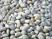 Natural Pebble Stones