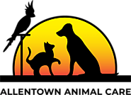 Comprehensive Pet Wellness Exams in Allentown, PA