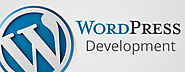 Tips on mastering WordPress development skills