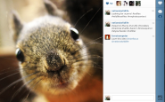 If Wildlife Took Selfies...A New Series on Instagram