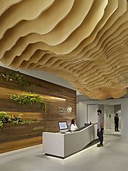 The Nature Conservancy – San Francisco Offices