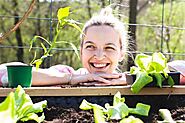 How to Start a Garden: A Beginner's Guide | Farm Bureau Financial Services