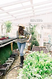 The Best Vegetables to Grow Indoors and How to Get Started