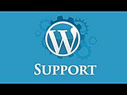 How to Fix Wordpress Problems - Darrel Wilson