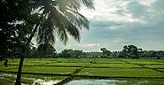 Different types of Agro tourism in Sri lanka