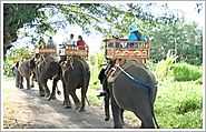 Bali Elephant Trek