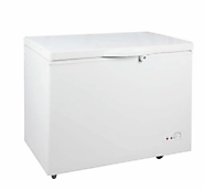 Deep freezer on rent