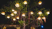 Landscape Lighting Installers Near Me: Best Installers in Havertown, PA