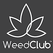 WeedClub | My Business Name | عطر الف ليلة وليلة: سحر العطور الذي يروي القصص