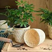 The Aesthetic And Sustainable Home Décor Brand | Rusticozy – Shop Now!