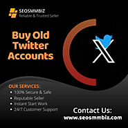 Buy Old Twitter Accounts - SEOSMMBIZ